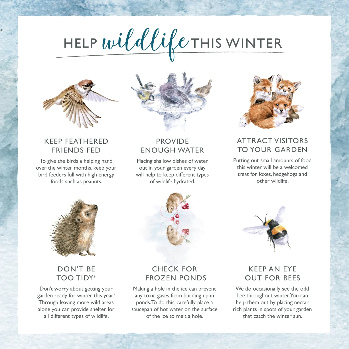 Winter Wildlife Tips